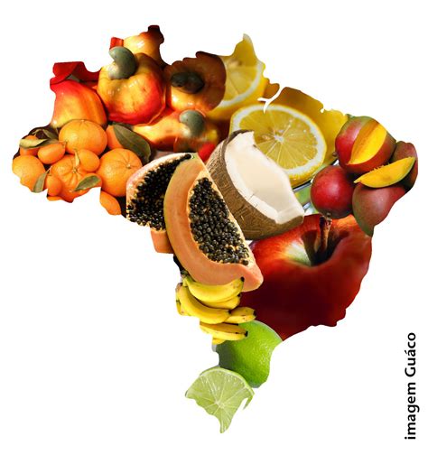 Guaco Estudo Nutri Brasil Infância