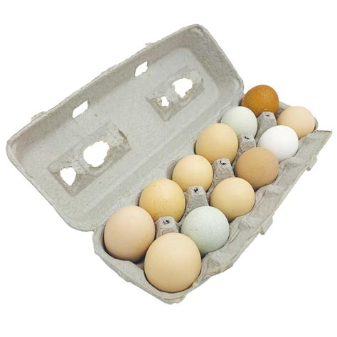 Large Blank Egg Cartons Mann Lake Ltd