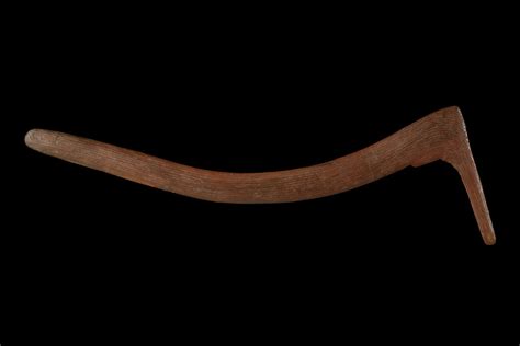 Stunning Hooked Boomerangs A Traditional Hunting Technique