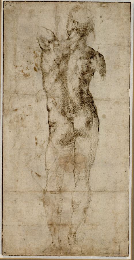 Michelangelo Buonarroti Standing Male Nude Seen From Behind Art Blart