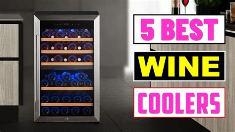 Top Best Wine Cooler Best Wine Fridge You Can Buy In