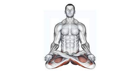 Frog Hip Thrust Guide Benefits And Form