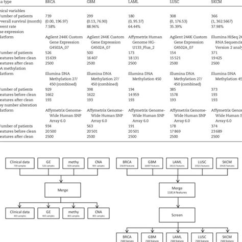 Description Of The Five Tcga Data Sets Download Table