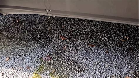 Pissing Ssbbw Videos XVIDEOS