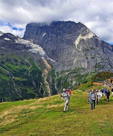 Beobachtet Und Geh Rt Waldkirch Badische Zeitung