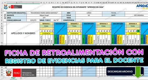 Ficha De Retroalimentaci N Con Registro De Evidencias Ministerio De