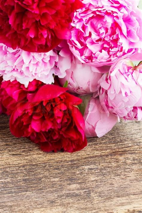 Bouquet Of Fresh Red And Pink Peonies Stock Image Colourbox