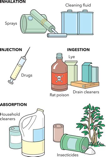 EMT Chapter 25 Poisoning And Overdose Emergencies Flashcards Quizlet