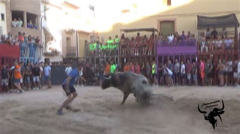 28 8 23 Vacas Cerriles Y 3 Toros Cerriles Vall D Alba YouTube