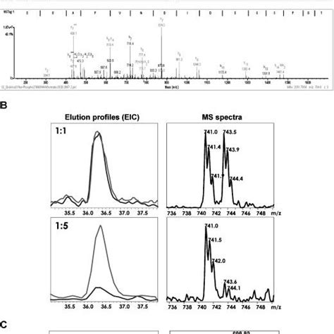 A Representative Ms Ms Spectra Of The Tryptic Peptide Download Scientific Diagram