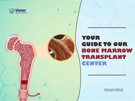 Your Guide to our Bone Marrow Transplant Center