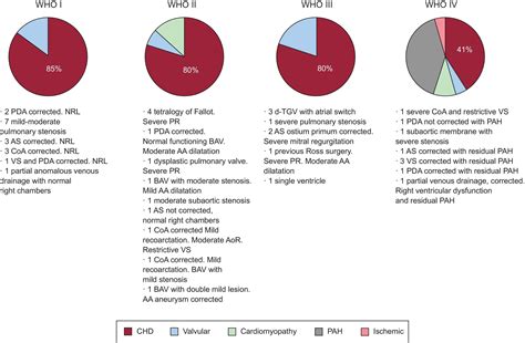 Pregnancy In Women With Structural Heart Disease Experience In A