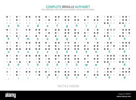 Alfabeto Braille Completo Cartel Con Letras Latinas N Meros Signos De