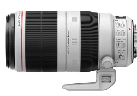 Review: The New Canon EF 100-400mm for Flowers and Bees by Jose Antunes ...