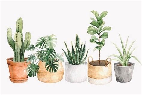 Houseplants Modern Design In Plant Painting Plant Art