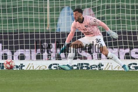 Gds Palermo Pigliacelli Ora Chiede Garanzie Ilovepalermocalcio