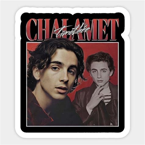 Timothee Chalamet By Cristoart Cute Laptop Stickers Timothee