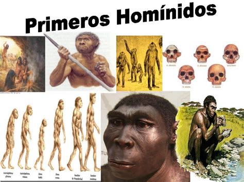 Primeros Homínidos