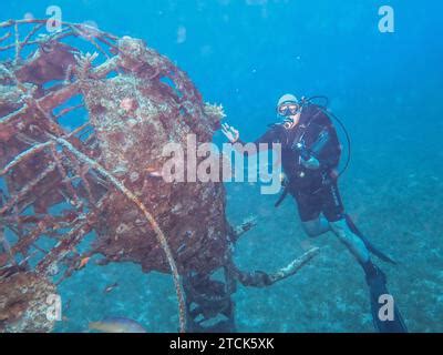 Diver At Underwater Sculpture Elephant Underwater Photo Dive Site