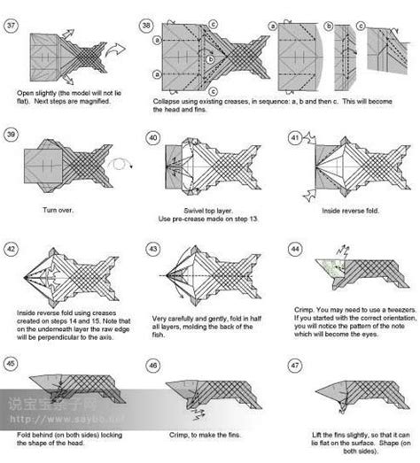 Koi Origami Asharaolga