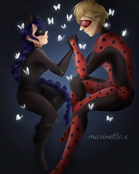 Ladynoir Kwami Swap Miraculous Amino