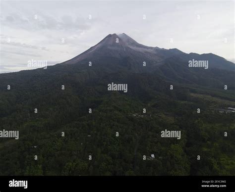 Aerial View Of Mount Merapi Landscape With Rice Field And Village In