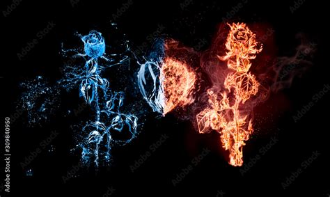 Blue Fire And Ice Roses