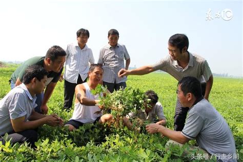 未來農村將迎來這三大變革，農民的機遇來了！ 每日頭條