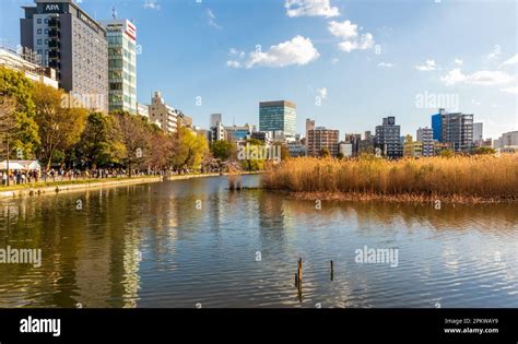 Tokio Japan M Rz Stadtbild Von Tokio Und Shinobazuno Teich