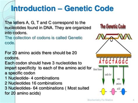 Significance Of Genetic Code