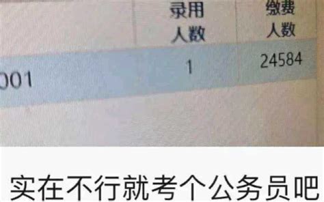 《实在不行，就考个公务员吧》哔哩哔哩bilibili