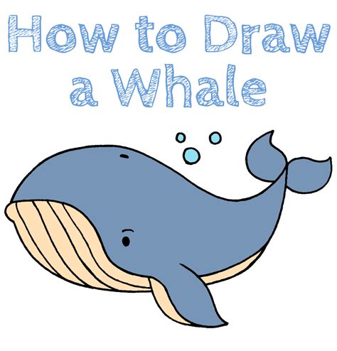 How To Draw A Whale Draw For Kids