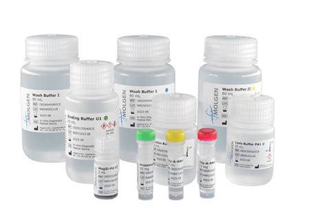 High Quality Dna Rna Extraction Kits For Efficient High Throughput Testing