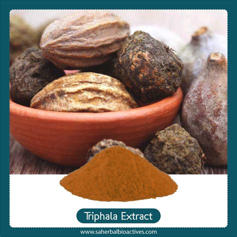 Triphala Extract Sa Herbal Bioactives