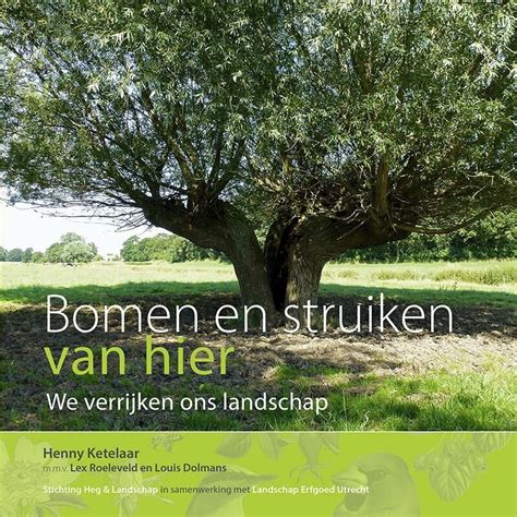 Architectura Natura Bomen En Struiken Van Hier We Verrijken Ons