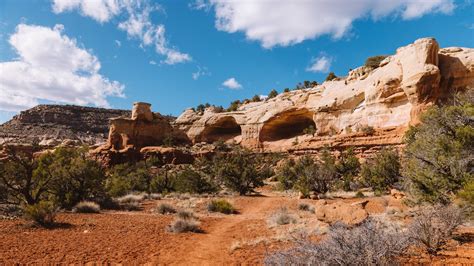 Hiking Canyons of the Ancients National Monument in Colorado