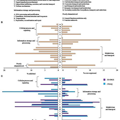 A Clusters Of Orthologous Groups Cogs Definitions B Percentage Of Download Scientific