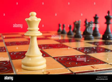 Photographed On A Chess Board Stock Photo Alamy