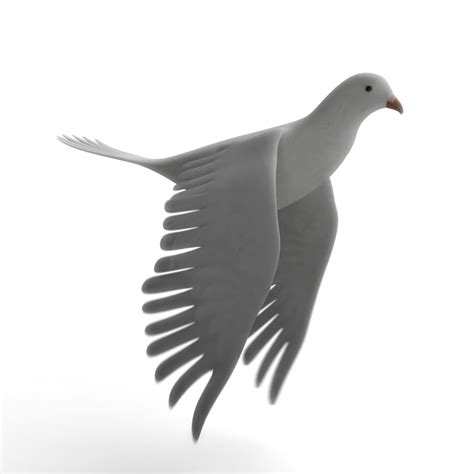 dove flying animation 3d model