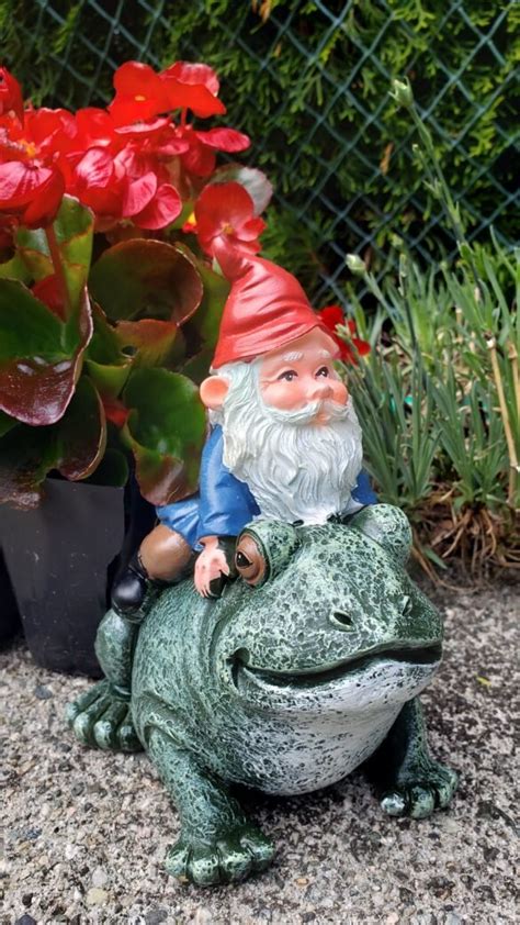 Gnome Riding Frog The Gnome Shop