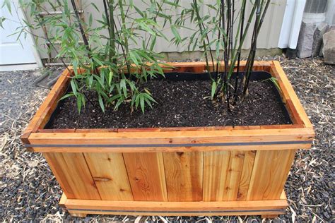 Bamboo Planters Bamboo Planter Bamboo Garden Bamboo Plants