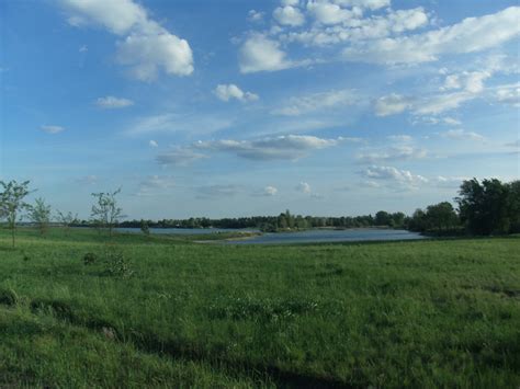 Free Images Landscape Tree Water Nature Horizon Marsh Cloud