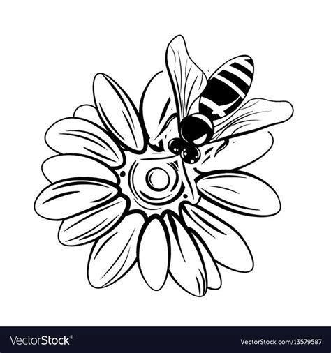 Bee on flower isolated white vector image on VectorStock | Bee on ...