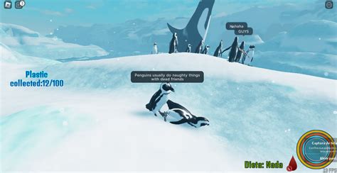 Realistic penguin behavior : r/GoCommitDie