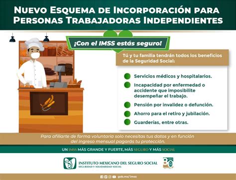 Imss Guerrero On Twitter Con El Nuevo Esquema De Incorporaci N Para