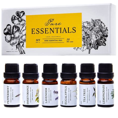 Buy Essential Oils By Pure Essentials 100 Pure Oils Kit Top 6