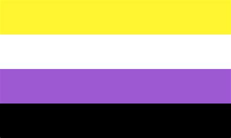 Pride Flag Guide Nonbinary Library Lgbt