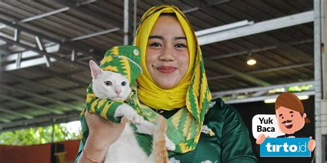 7 Tips Merawat Kucing Agar Sehat Dan Bulunya Tidak Rontok