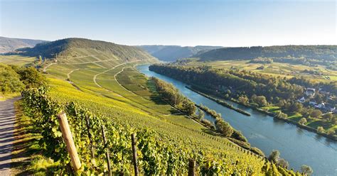 Rhine And Moselle River Cruise Moselle Romance 2025