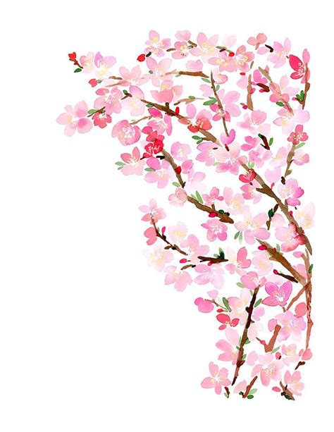 Handmade Watercolor Archival Art Print Cherry Blossom Flowers